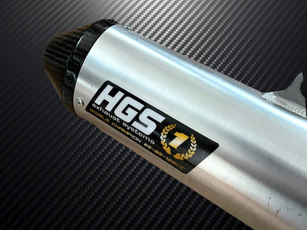 HGS Endschalldämpfer Carbon Beta RR 250/300 ab 2020 Silber